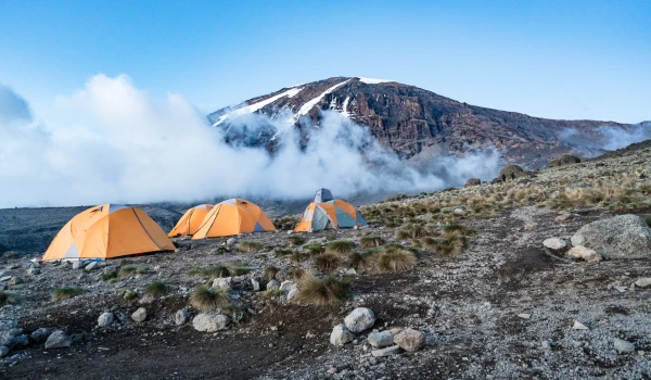 Kilimanjaro Trek Umbwe Route