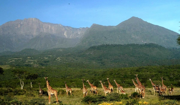 Momela route-Climbing Mount Meru