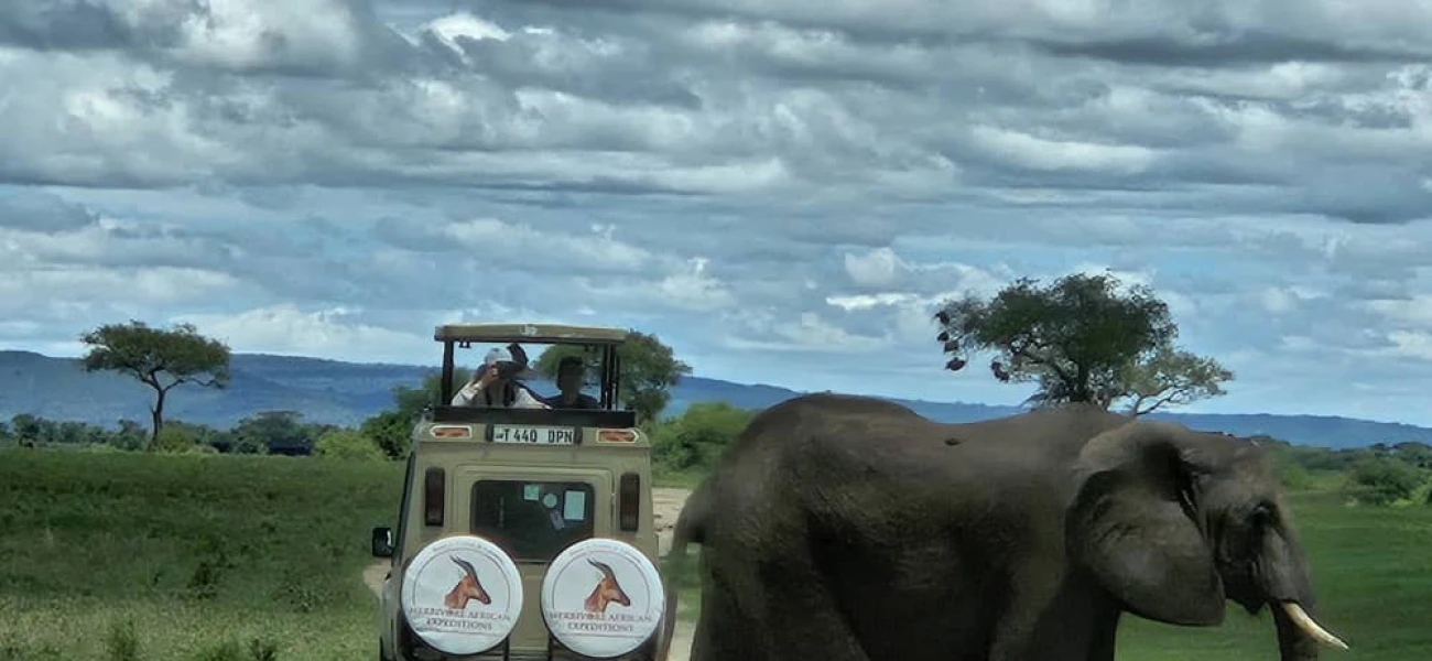 Safari Tarangire And Ngorongoro