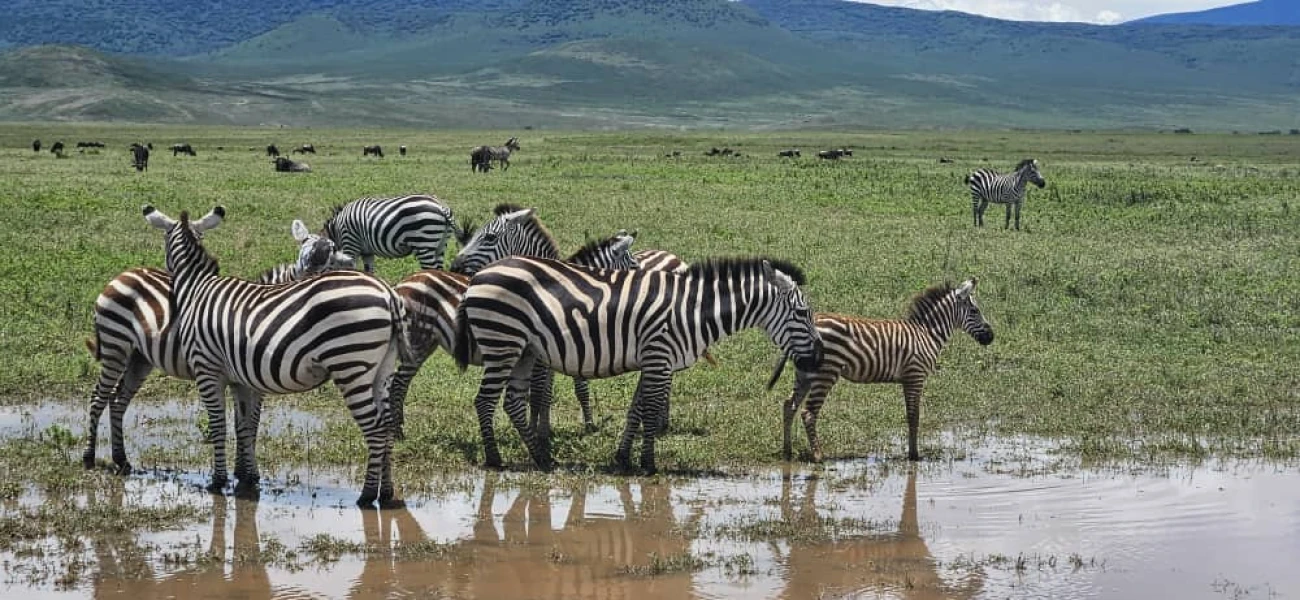 tarangire national park