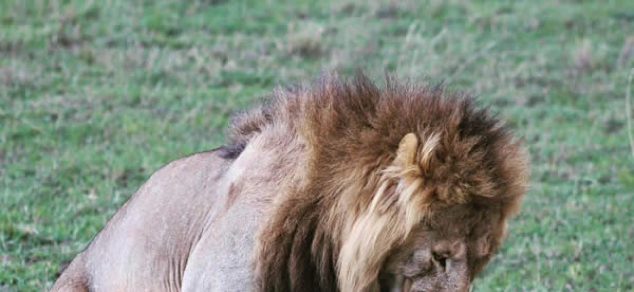 tarangire national park