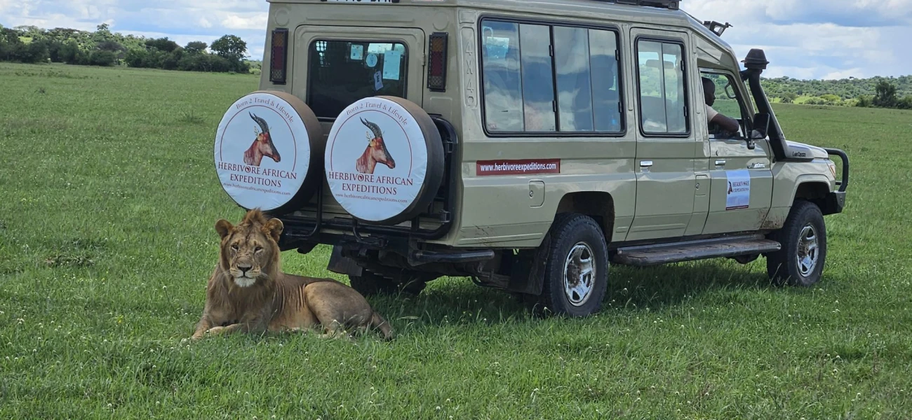  Fly Into Serengeti