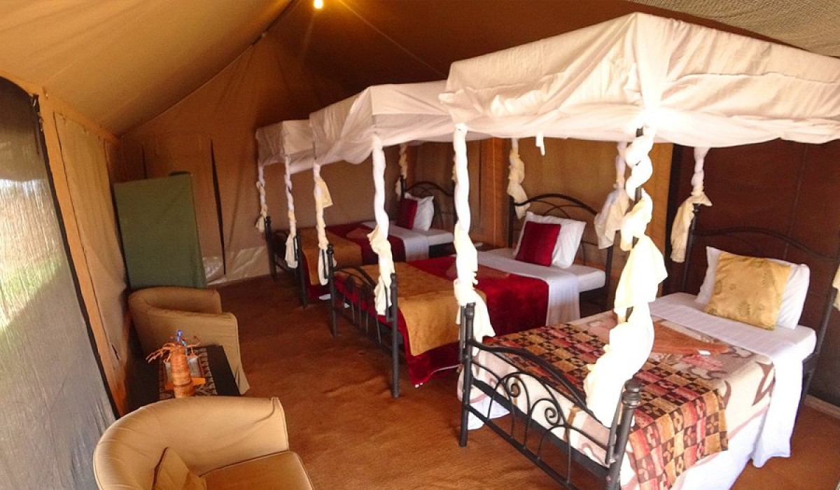 Serengeti Wild Camp