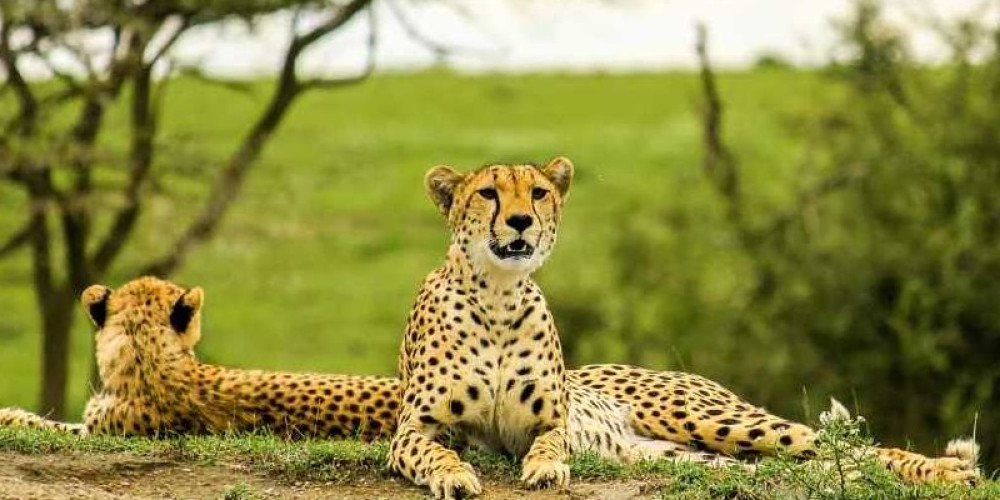 Tarangire National Park