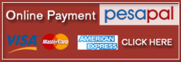 paymentonline